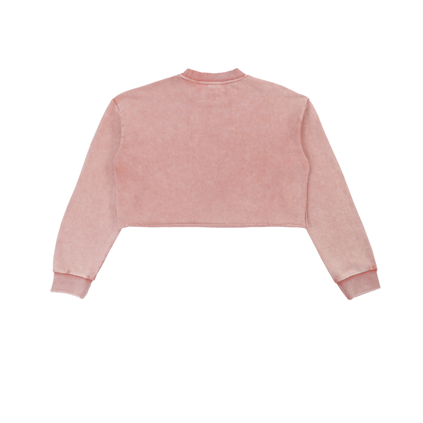 Menhera x Gloomy Snow Washed Raw Edge Cropped Sweatshirt