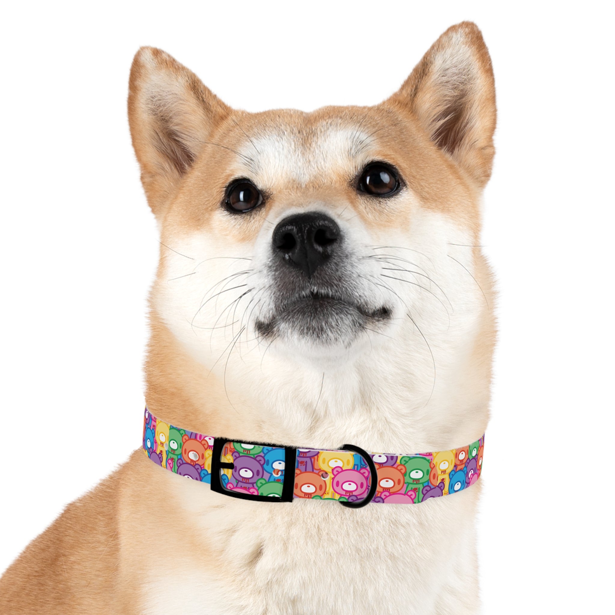 Gloomy Bear "Rainbow Dreams" Dog Collar